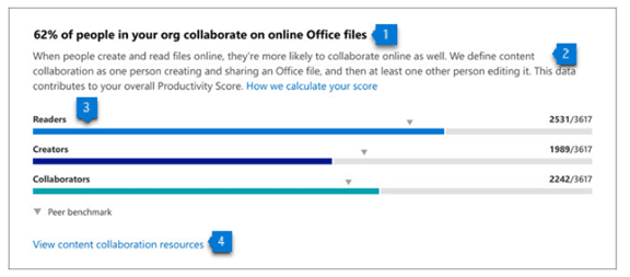 Microsoft Productivity Score Offline Files